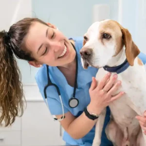 Medicina Veterinária em Montes Belos