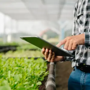 Agronomia em Rio Verde